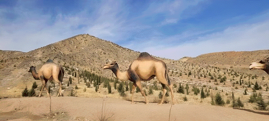 مجسمه گله شتر و حیوانات طبیعی بزرگ